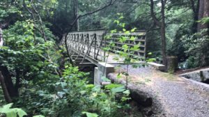 Trails – Cloudland Canyon State Park